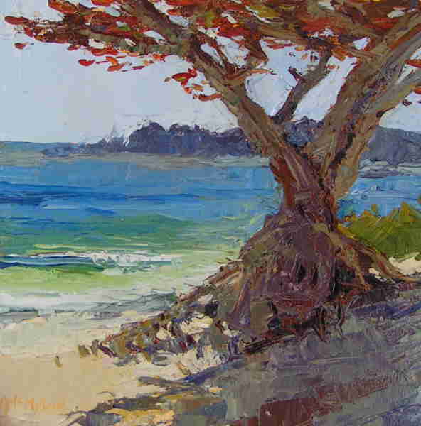 Ann McMillan - "Carmel Beach Cypress"