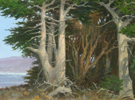 Patrick Woodman - "Monterey Cypress"