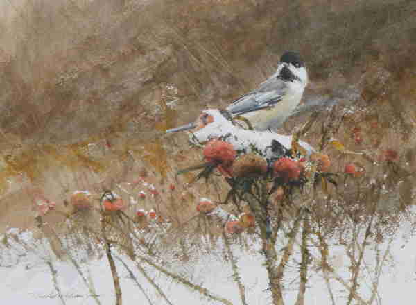 Thomas William Jones - "Winter Chickadee"