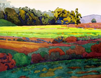 Robin Purcell - "Oxalis At Wilder"
